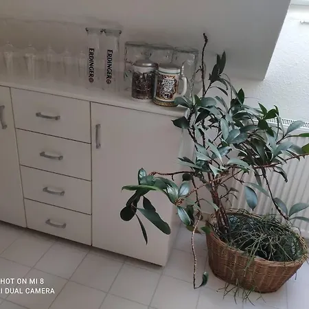 Apartment Tolle In Zentraler Lage In