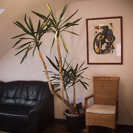 Apartment Tolle In Zentraler Lage In *