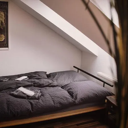 Appartement Tolle In Zentraler Lage In